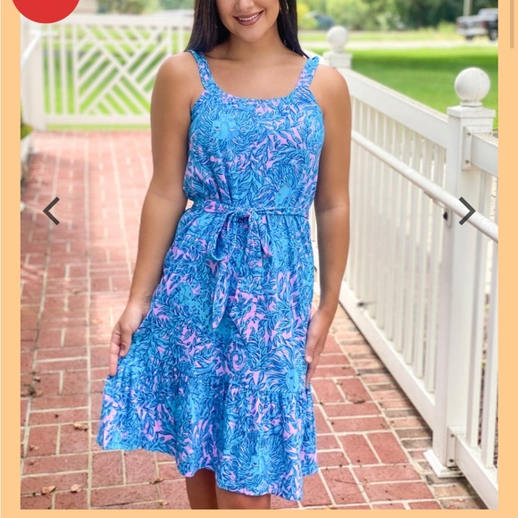 Collins Knee Length Dress - Picture 1 of 3